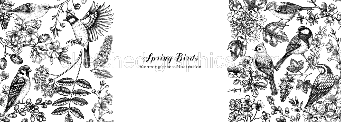 Flowering trees with birds banner. Vintage frame designs with birds, flowers, blooming branches sketches. Hand drawn almond, willow, rowan, willow, cherry blossom isolated on white background Illustration